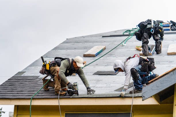 Professional Storm Damage Roof Repair technician working in South River, NM